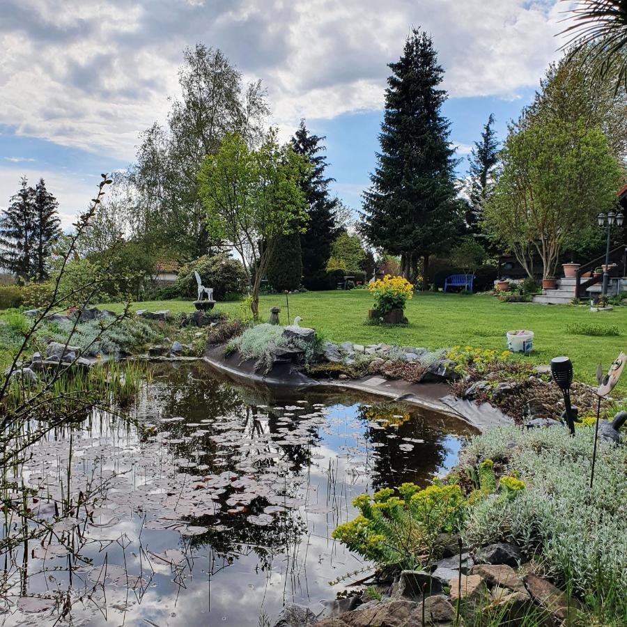 Finnhaus Neubauer Эльбингероде Экстерьер фото